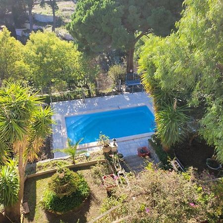 Apt 65 M2 Dans Villa Avec Piscine Banyuls Sur Mer Екстериор снимка