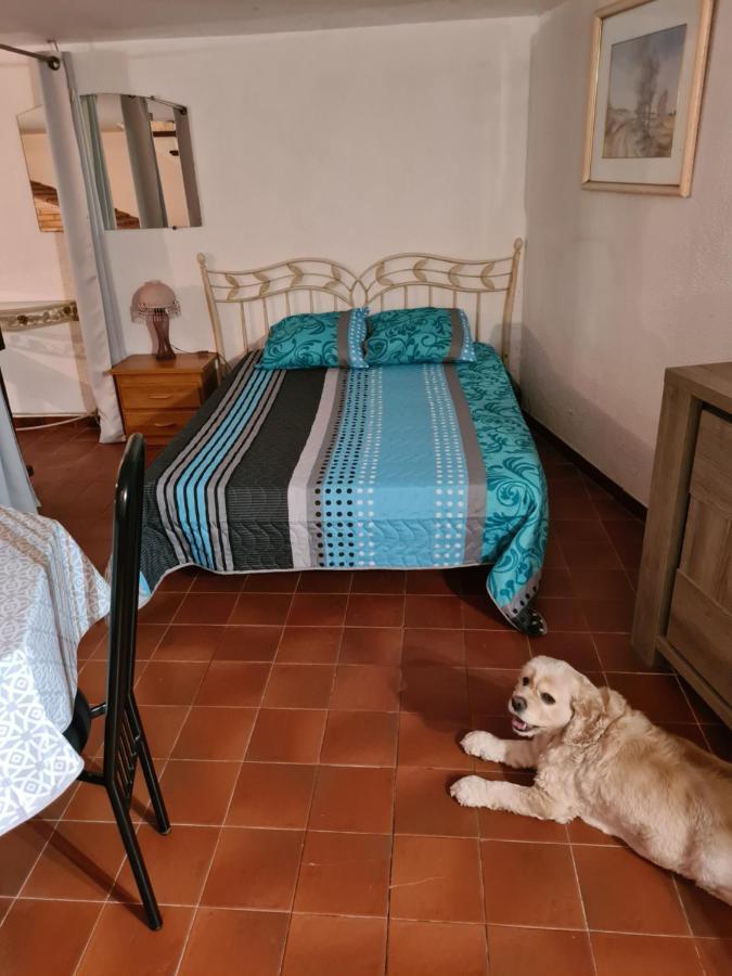 Apt 65 M2 Dans Villa Avec Piscine Banyuls Sur Mer Екстериор снимка